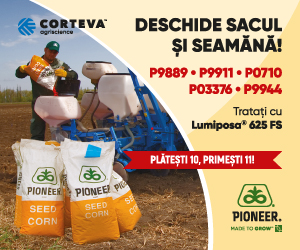 Google search engine